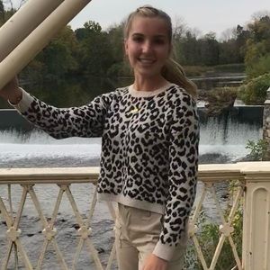 Cheetah print sweater